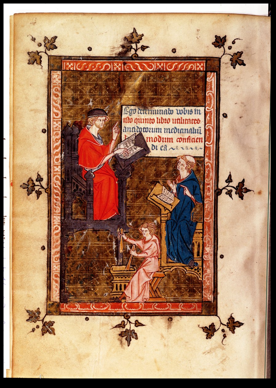 Bayan Lat. 14023 fol. 769 v. Canon of Medicine