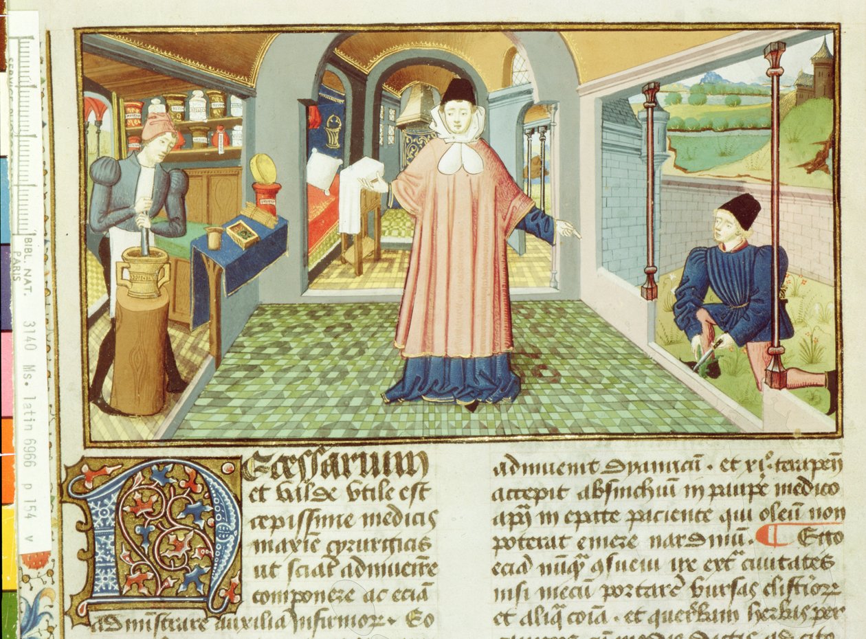 Ms Lat 6966 fol.154v Bitki kesme ve ilaç hazırlama, LAntidotaire