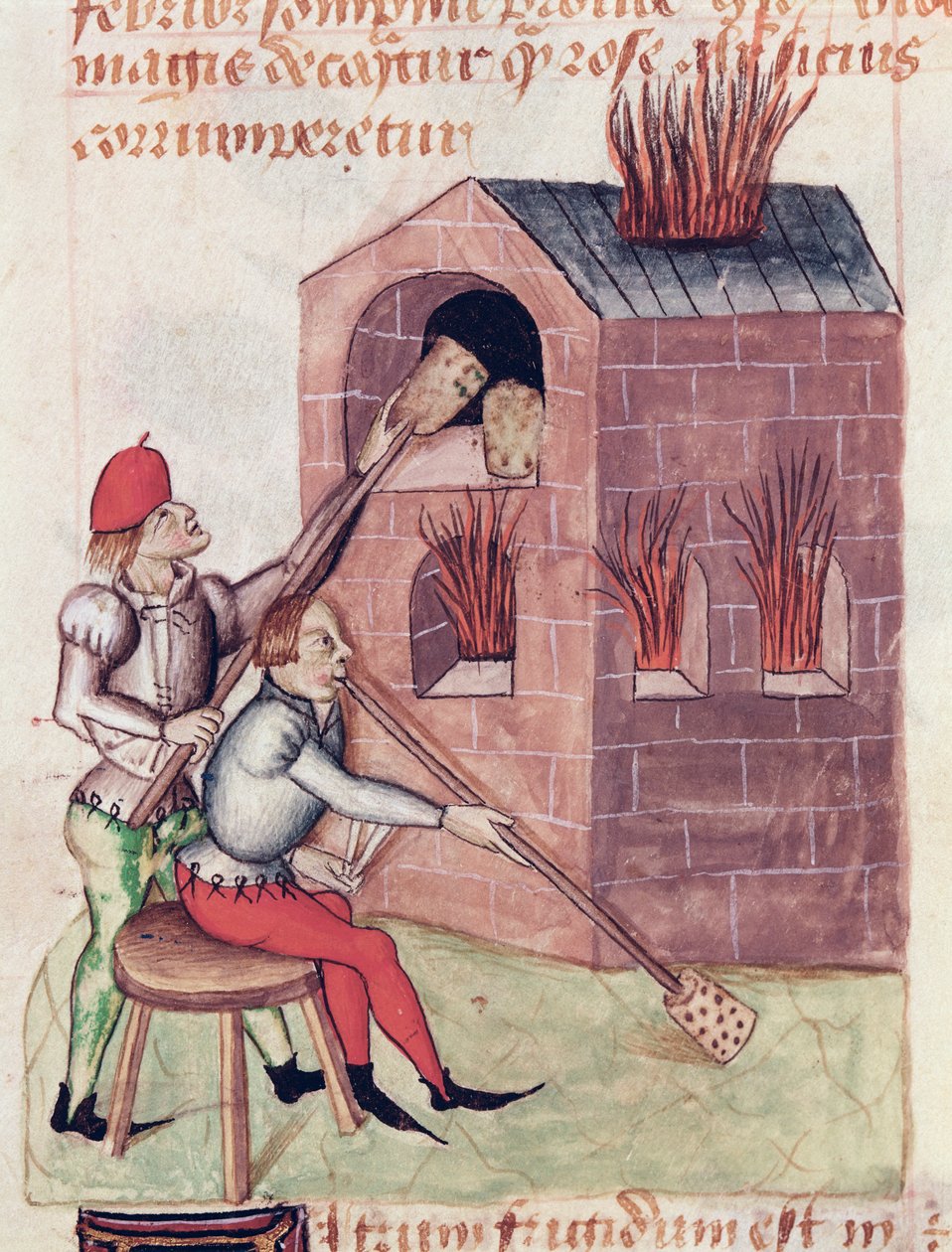 Ms Lat 993 L.9.28 f.138r Cam üfleyiciler, Dioscorides tarafından Tractatus de Herbis