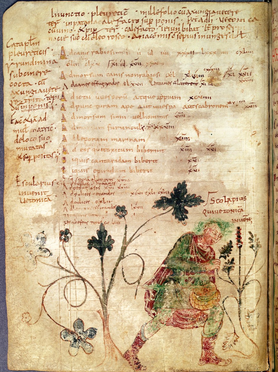 Ms Latin 6862 fol.18v Aesculapius, Antonius Musa