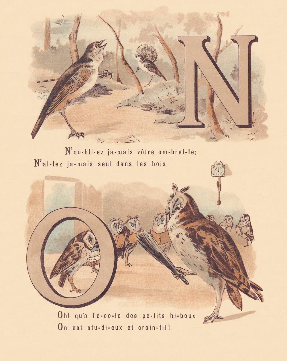 N O: Bülbül, evlilik, baykuş, imla by French School