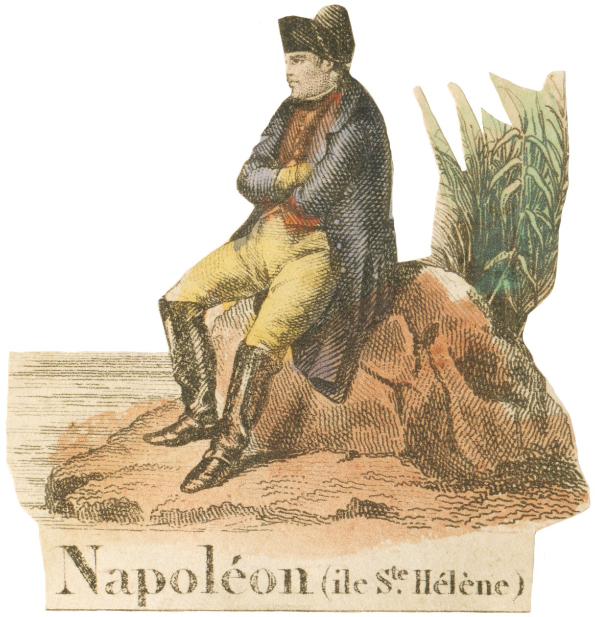 Napolyon olarak N by French School
