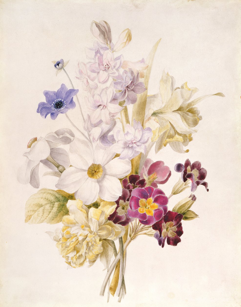 Nergis ve diğer Çiçekler, 1840 (kağıt üzerinde wc) by French School