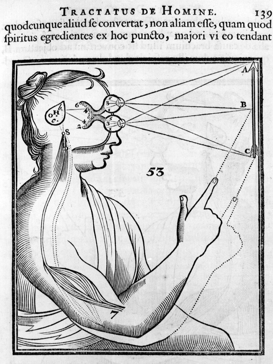 Oftalmoloji: göz ve görme. Rene Descartes