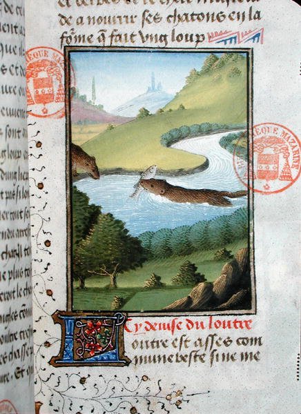 Gaston Phebus de Foix (1331-91) (parşömen) tarafından Livre de la Chasse