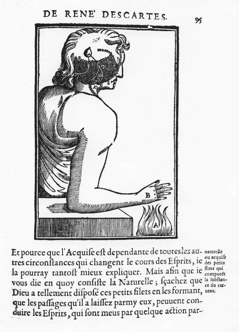 Rene Descartes