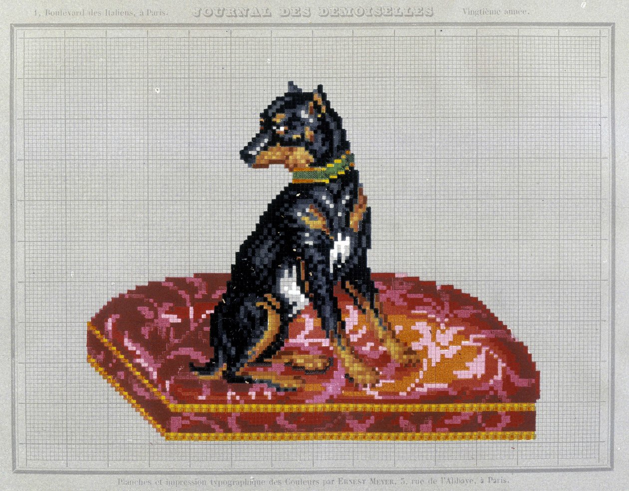 Kanaviçe işi nakış deseni (köpek) - “” Journal des Demoiselles” 1852