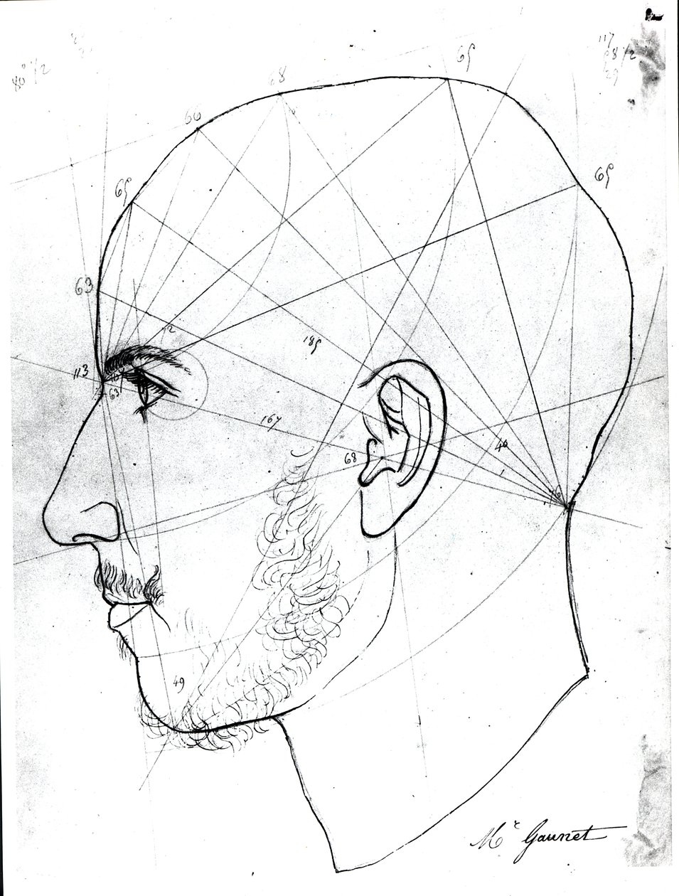 Doktor Philippe Jean Pelletan (1747-1829) kütüphanesinin bir el yazmasından frenolojik çalışma (kağıt üzerinde kalem ve mürekkep) by French School