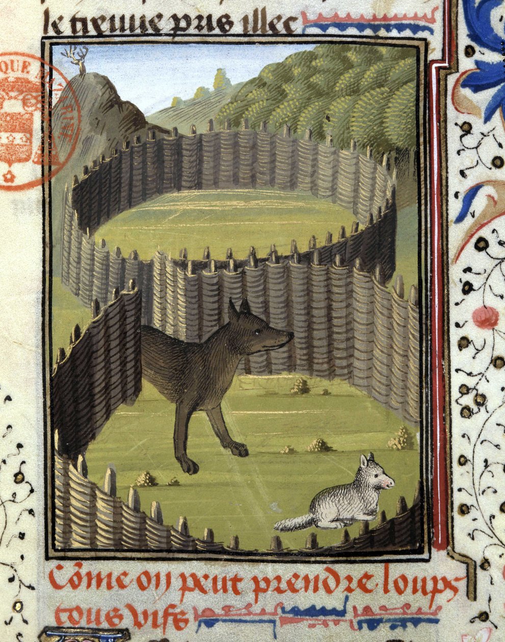 Bir kurt parçala - “” Gaston Phoebus