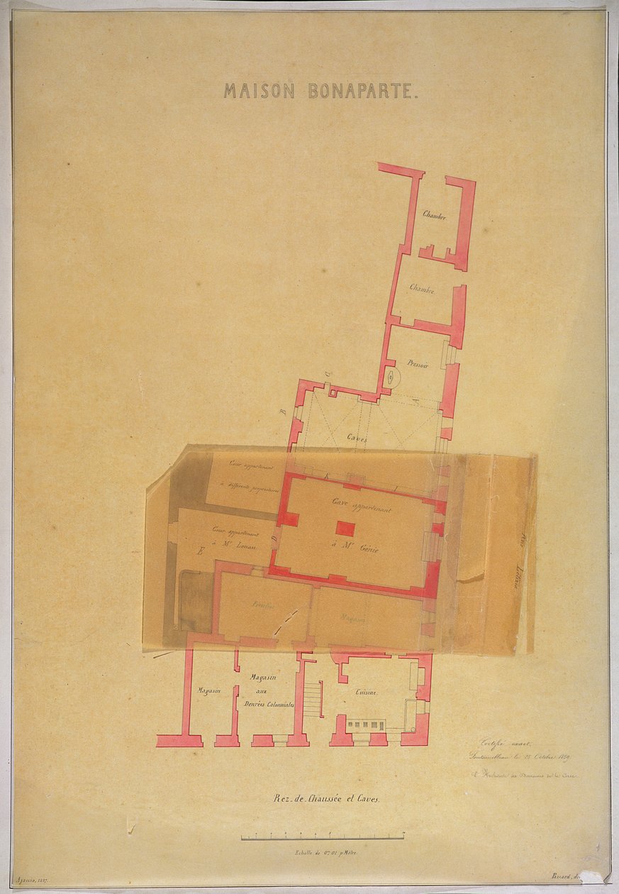 Napolyon Bonapart