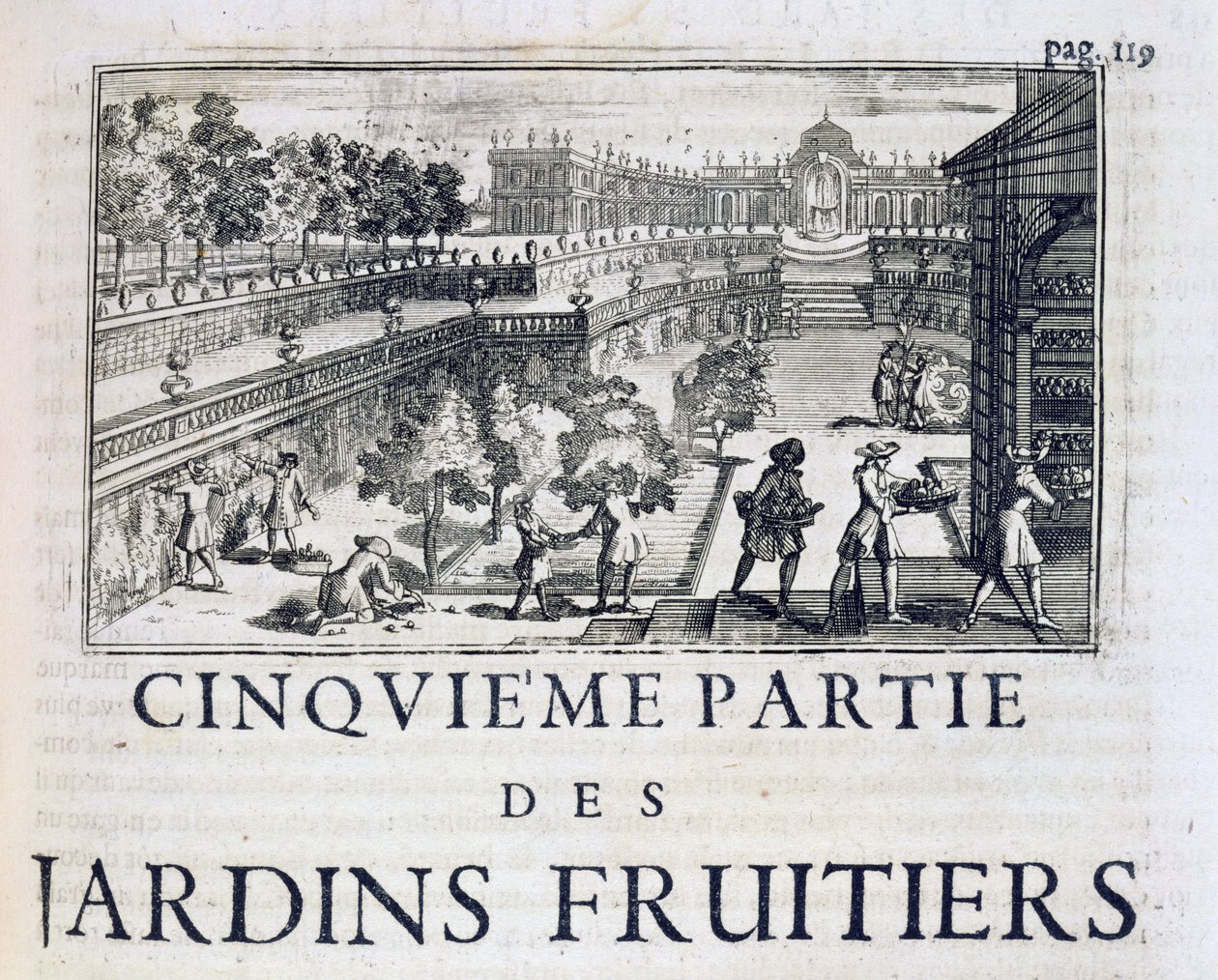 Meyve ağaçları dikmek, Le Parfait Jardinier, ou Instruction pour les Jardins Fruitiers et Potager, Jean de la Quintinye, 1695 yayınlandı by French School