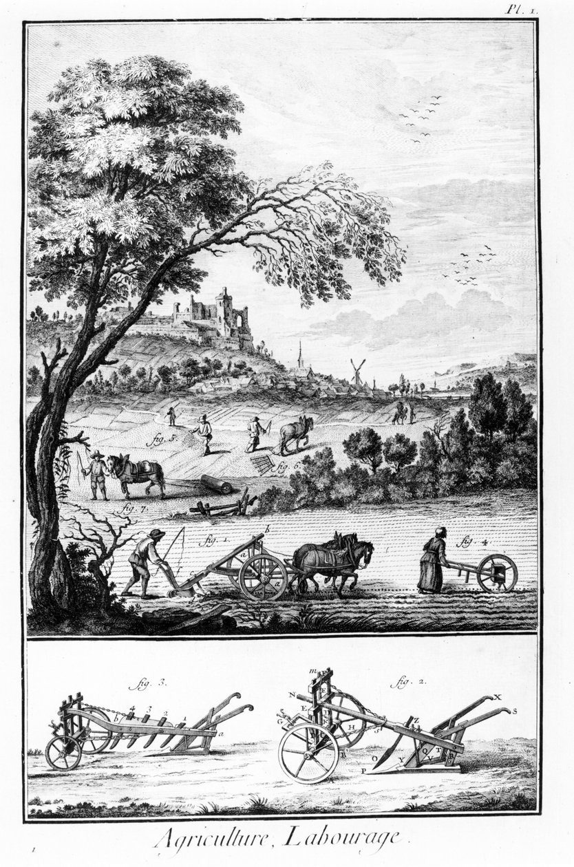 Diderot ve Alembert Ansiklopedisi Plakası: Tarım ve Çiftçilik. 18. yüzyıl. by French School
