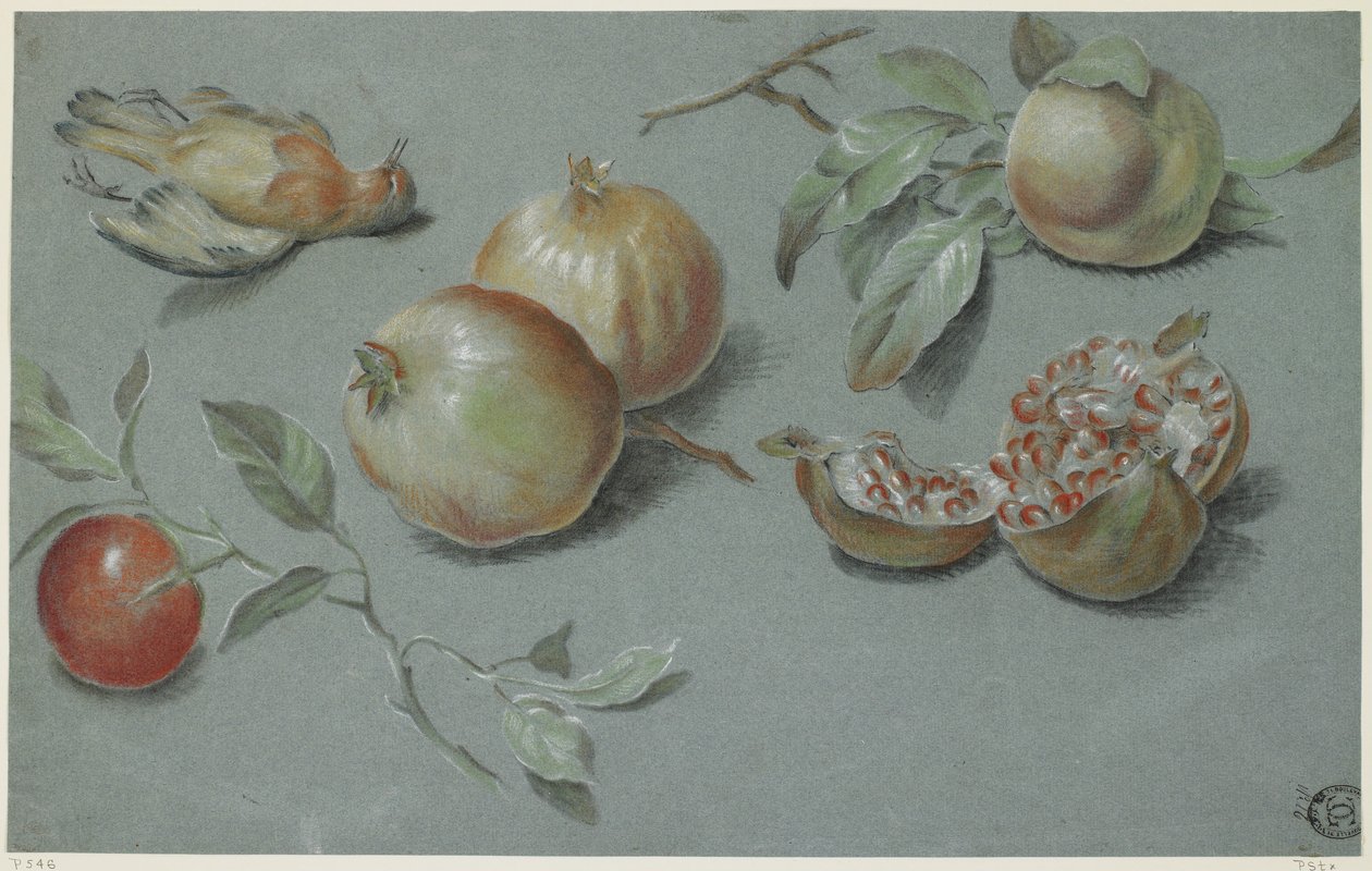 Nar ve Ölü Kuş, 19. yüzyılın başları (kağıt üzerinde tebeşir) by French School