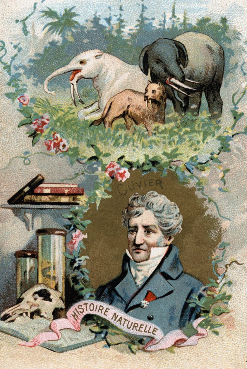 Baron Georges Cuvier