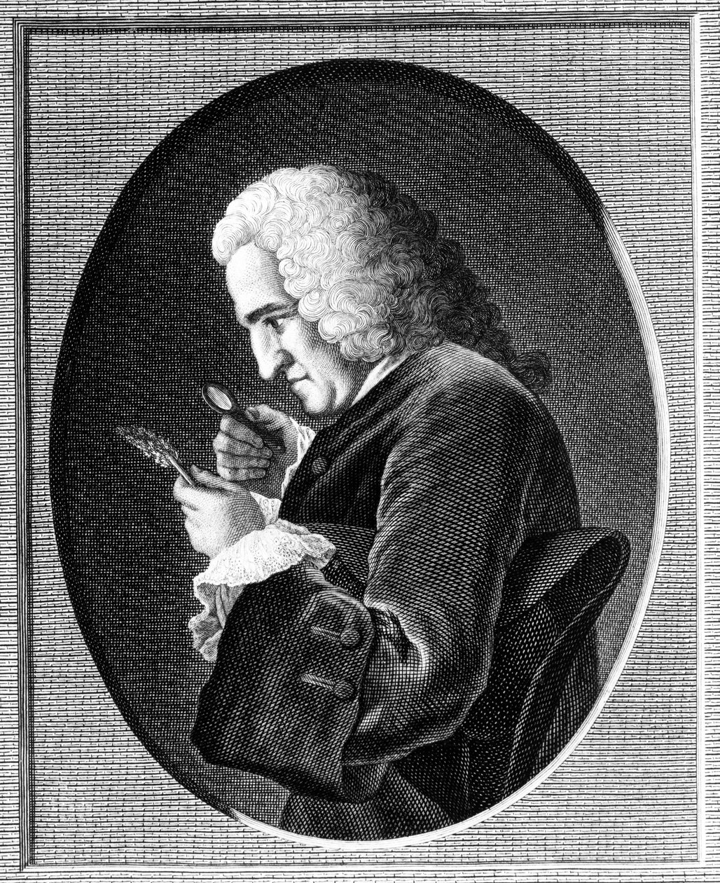 Bernard de Jussieu