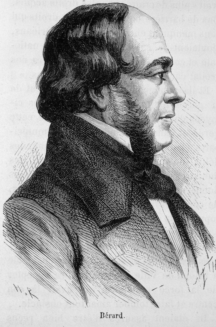 Bérard