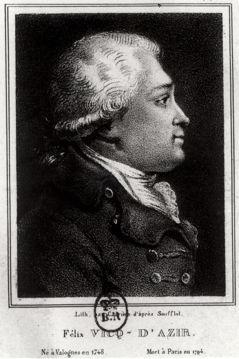 Felix Vicq dAzyr