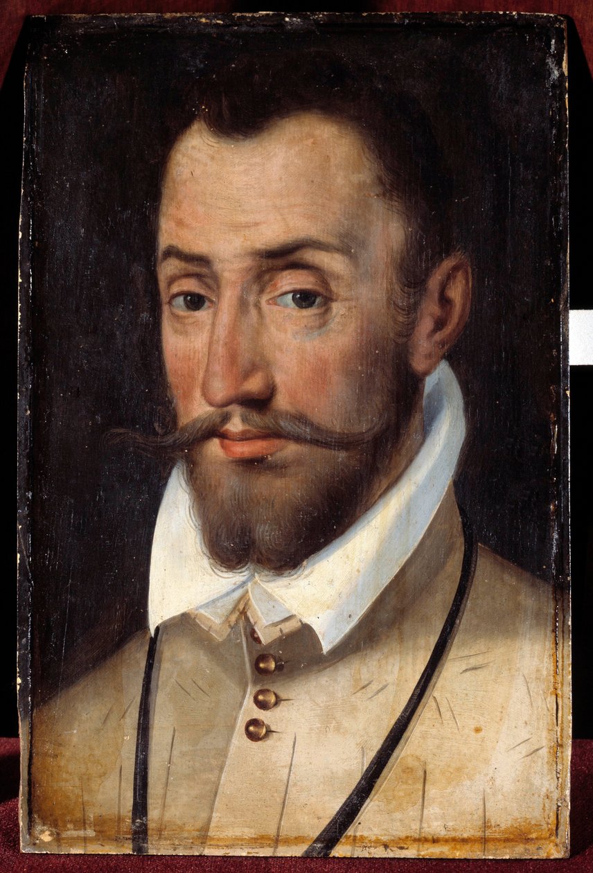 Francois de Coligny'nin Portresi, Andelot Lordu, Piyade Albay General (1521-1569) Fransız Okulu Resmi by French School