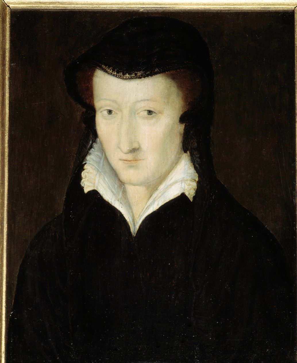 Joan of Albret, Bearn