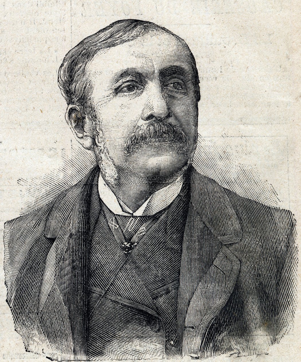 Paul, Remusat Kontu (1831-1897) Fransız gazeteci ve yazar portresi by French School