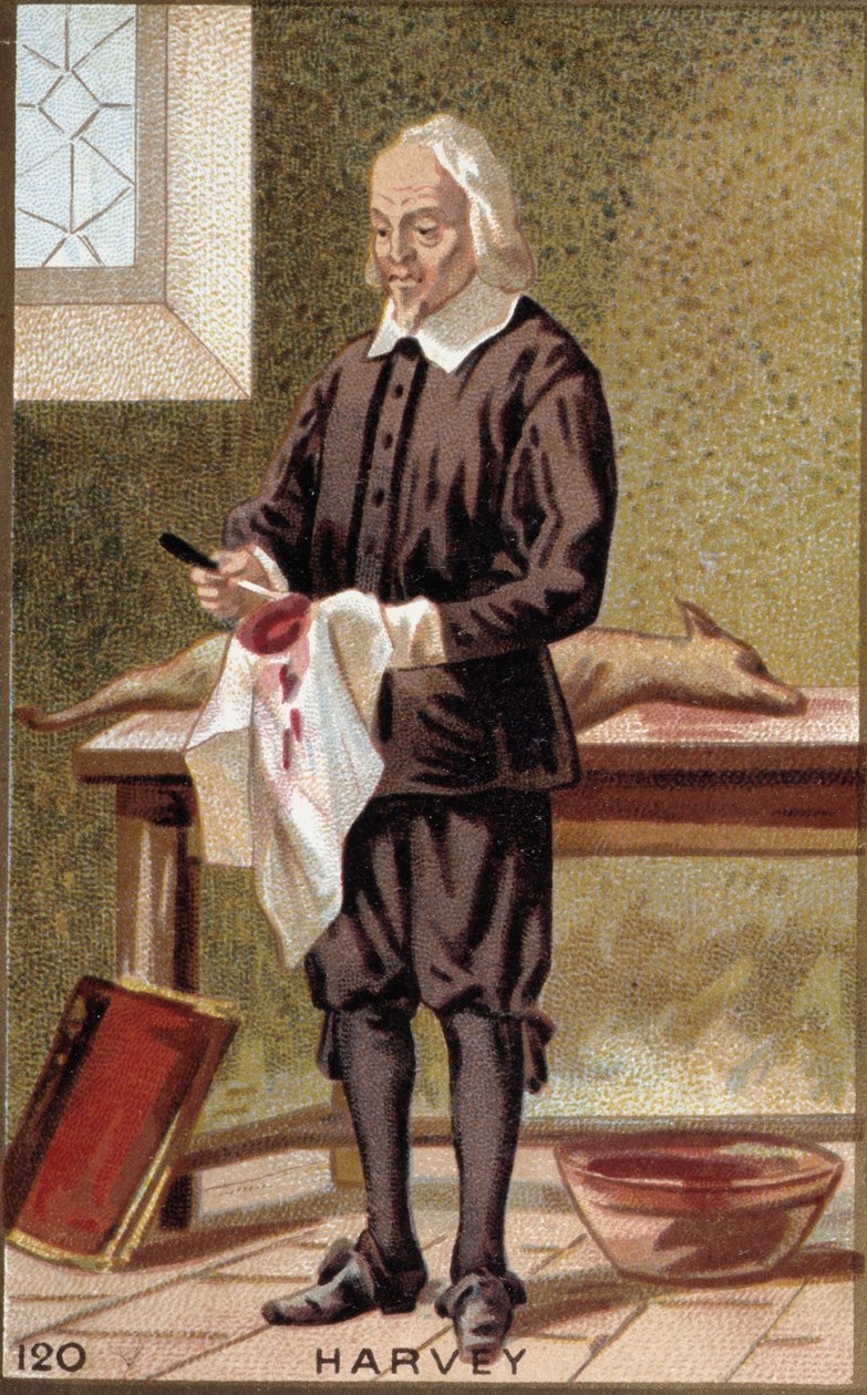 William Harvey (1578-1657), İngiliz doktor portresi. by French School