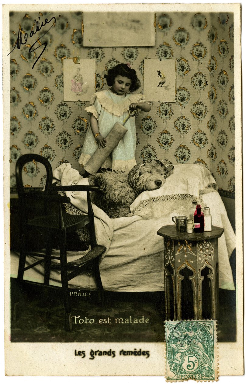 Kartpostal: Toto hasta, harika çareler, Prens by French School