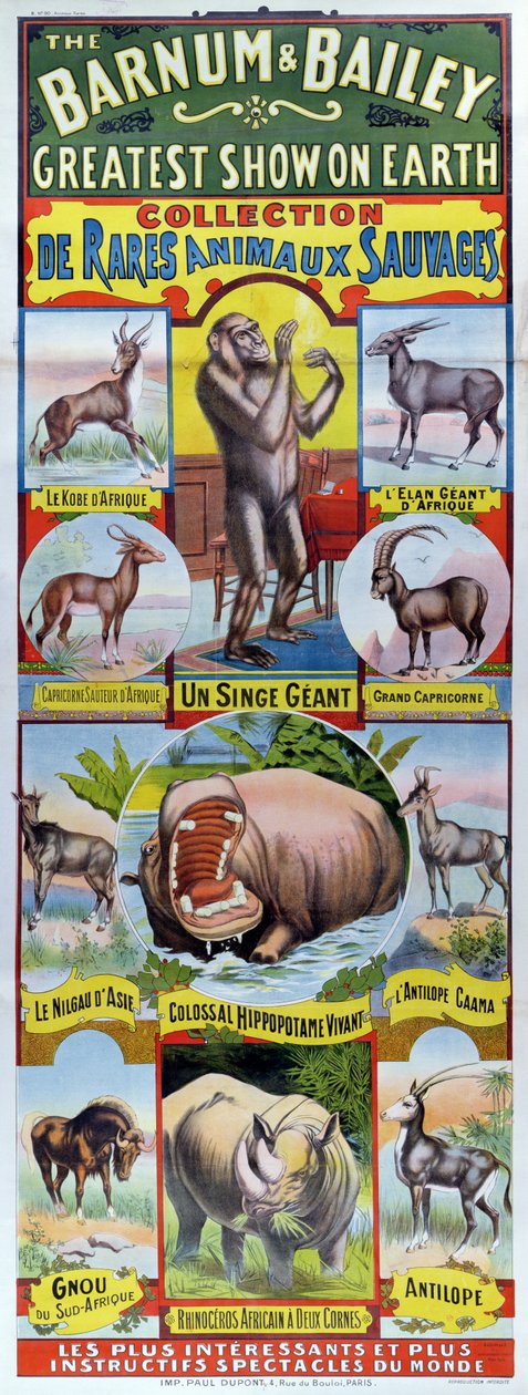 Barnum ve Bailey sirki için Collection de Rares Animaux Sauvages
