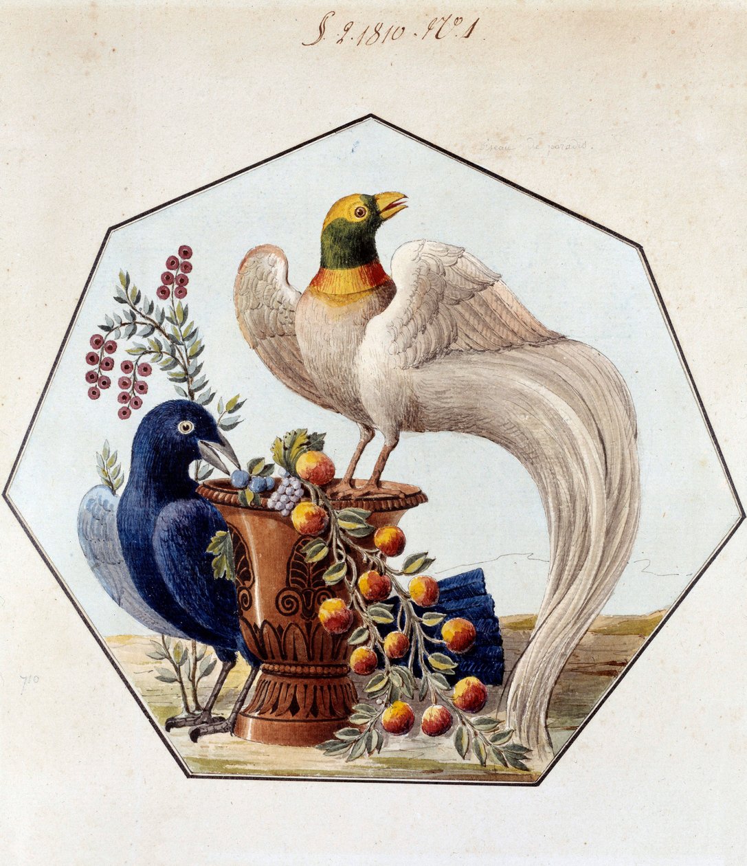 Alexandre Brongniart (1770-1847) tarafından porselenden yapılmış kuş masası projesi. 1810 Sevres, Sevres imalatının arşivleri by French School