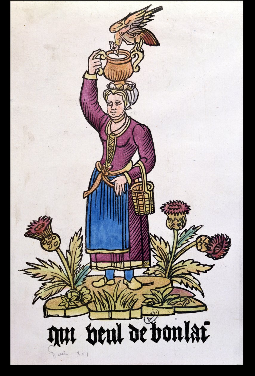 Qui Veut du Bon Lait, Les Cris de Paris dizisinden sütçü kız, 1515 baskısının kopyası by French School