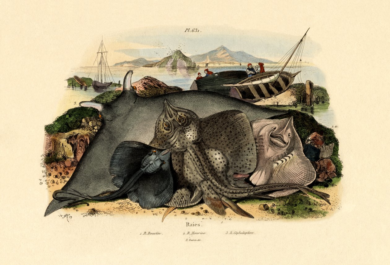 Işınlar, 1833-39 by French School