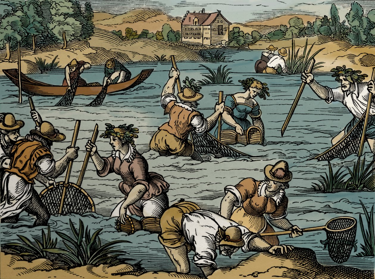 Nehir Balıkçılığı, 1584'ten (gravür) by French School