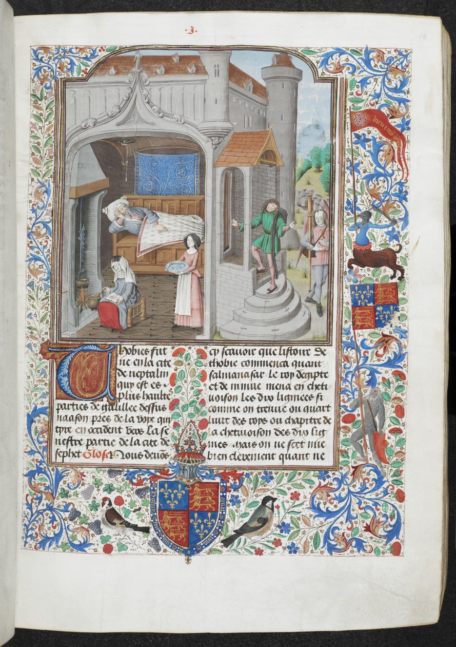 Royal MS 15 D I f.18r Hasta bir adama bakan kadınlar, 