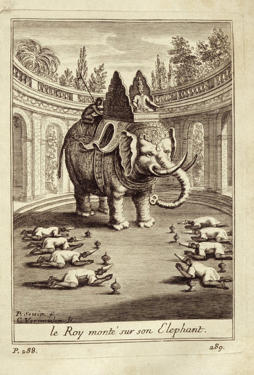 Kraliyet filleri, Voyage du Siam des Peres Jesuites