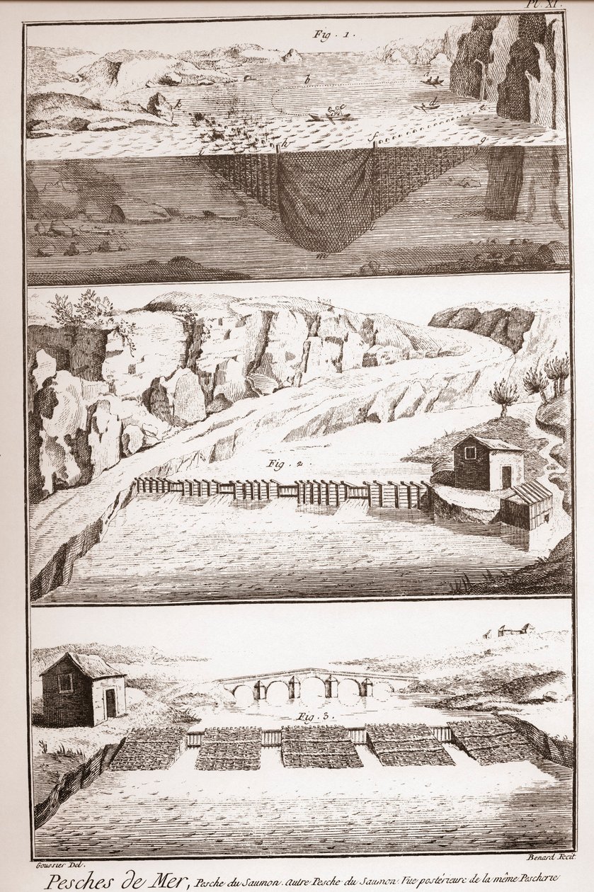Somon balıkçılığı teknikleri - Denis Diderot (1713-1784) ve Jean d