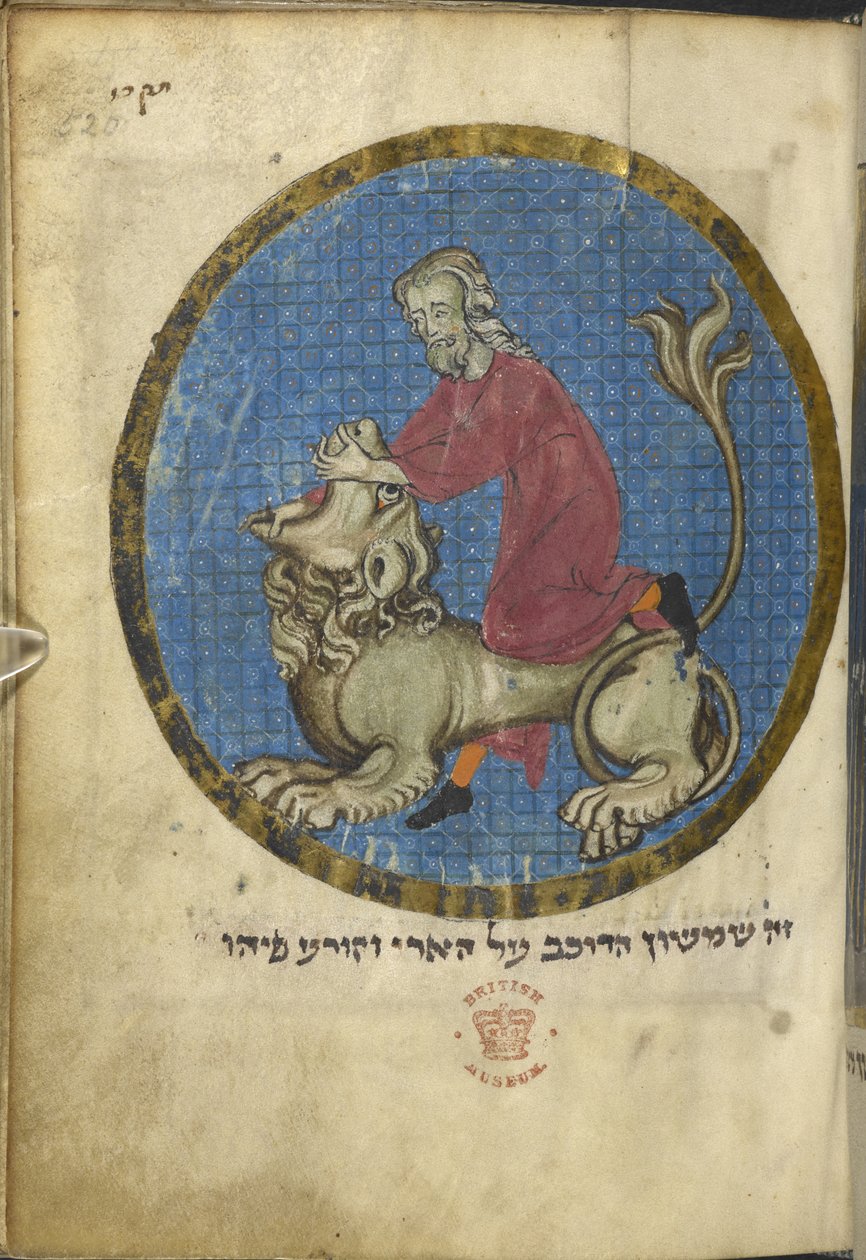 Samson ve aslan, Kuzey Fransız Miscellany