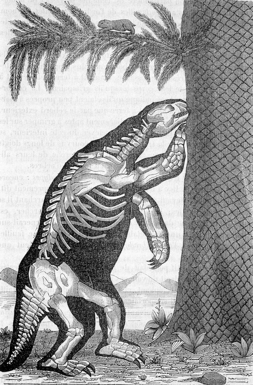 Megatherium iskeleti - Camille Flammarion tarafından “İnsan yaratılmadan önceki dünya” da by French School