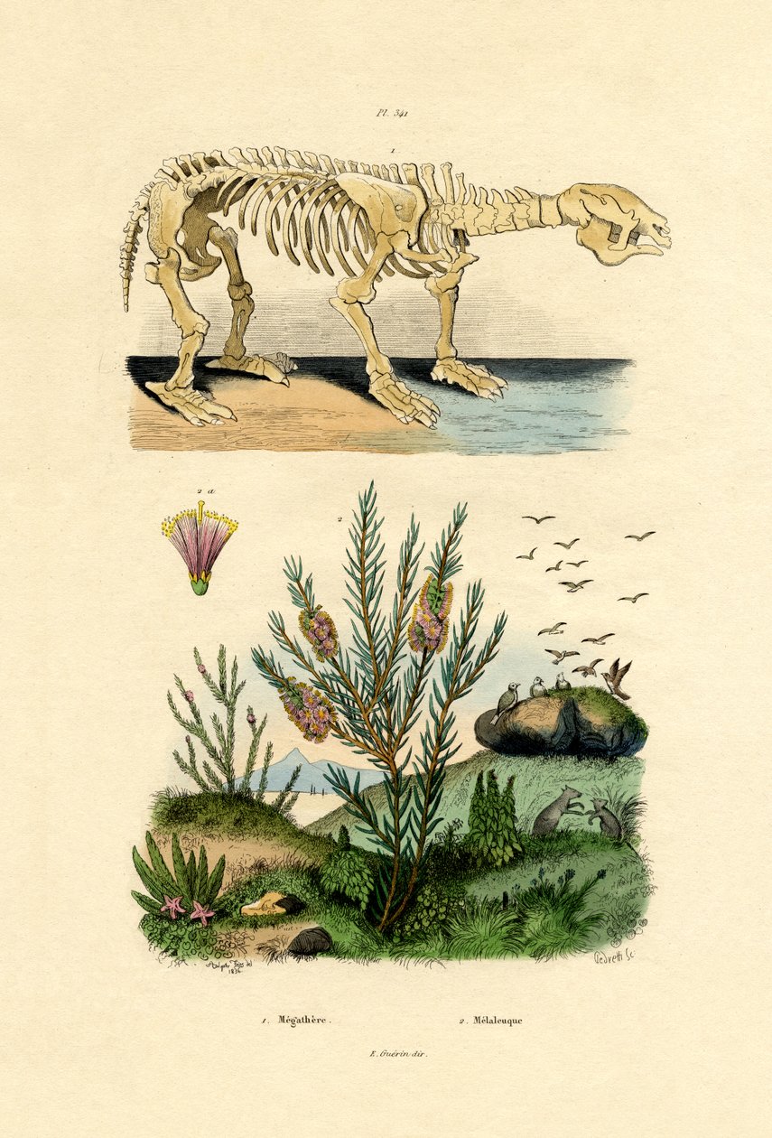 Tembellik, 1833-39 by French School