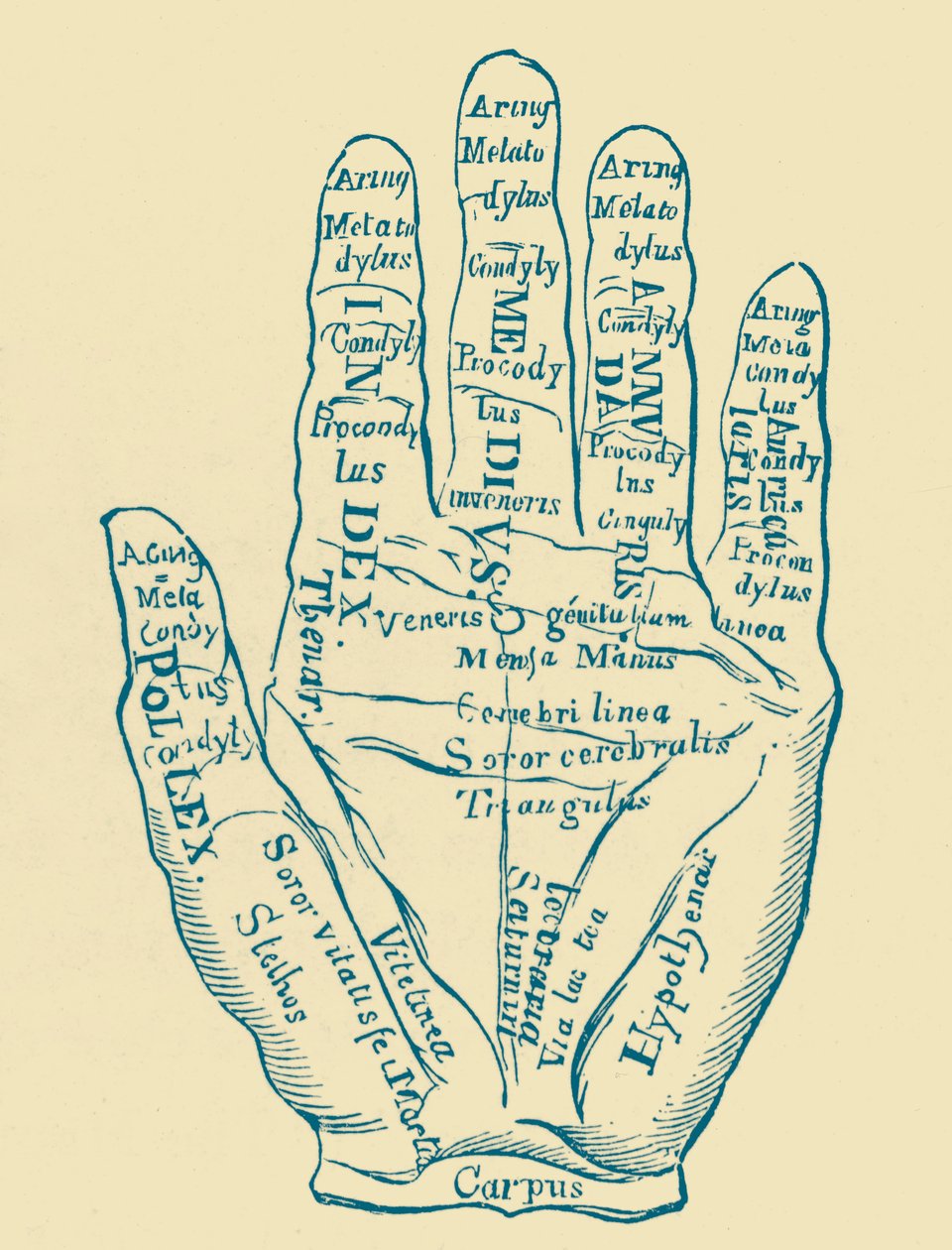 "Sol El Örneği" by French School