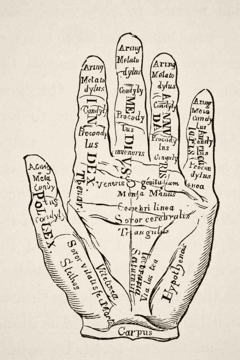 Paul Lacroix pub'ın Science and Literature in The Middle Ages adlı kitabından çizgiler ve horoskopik mezhepleriyle sol el örneği. Londra 1878 by French School
