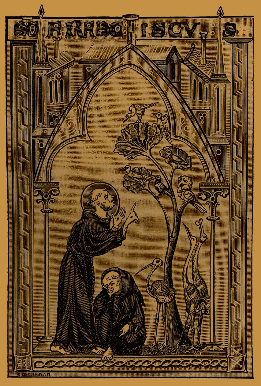 Assisi'li Aziz Francis Kuşlarla konuşuyor by French School