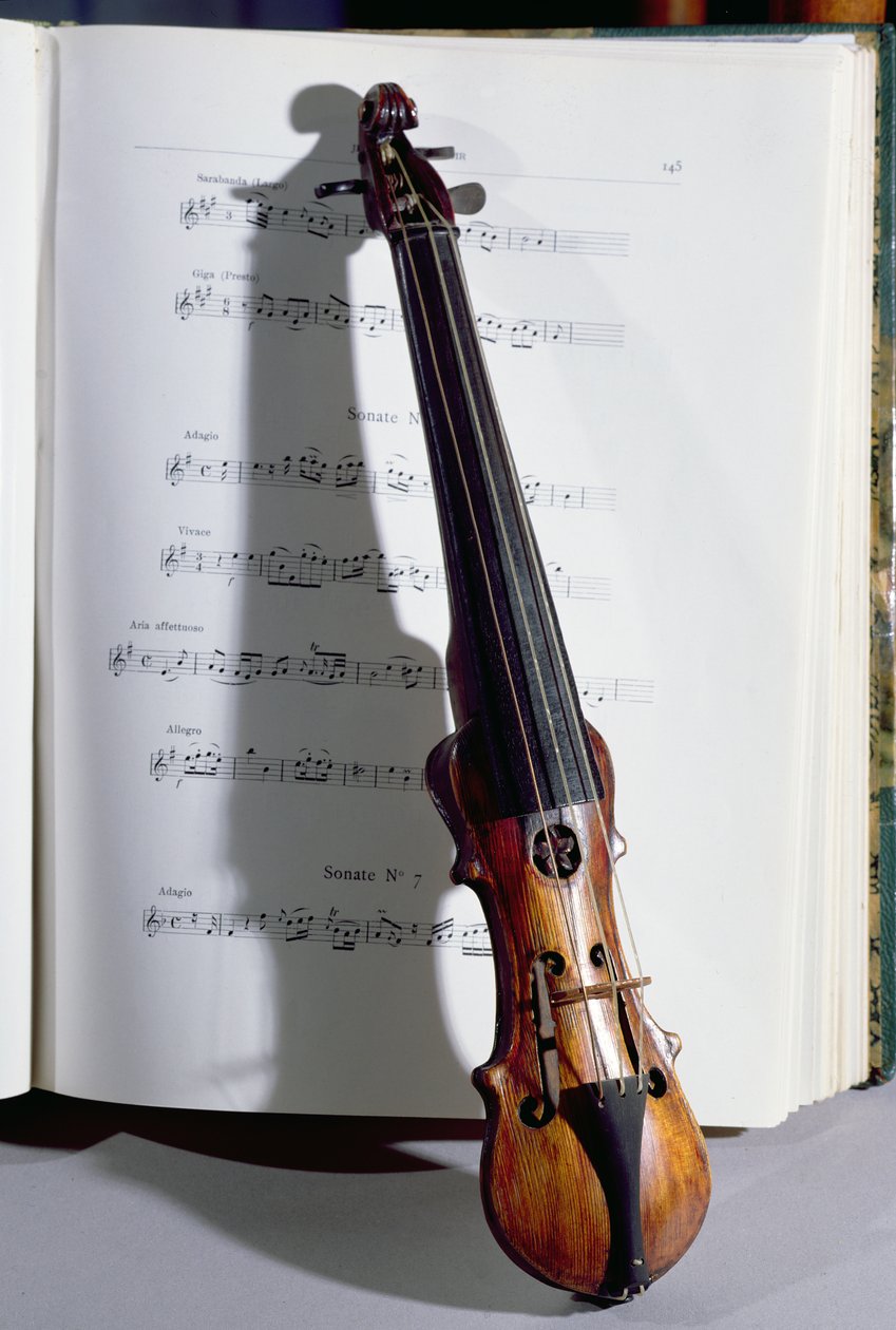 Bir dans ustasının telli çalgısı, 19. yüzyıl (ahşap) by French School
