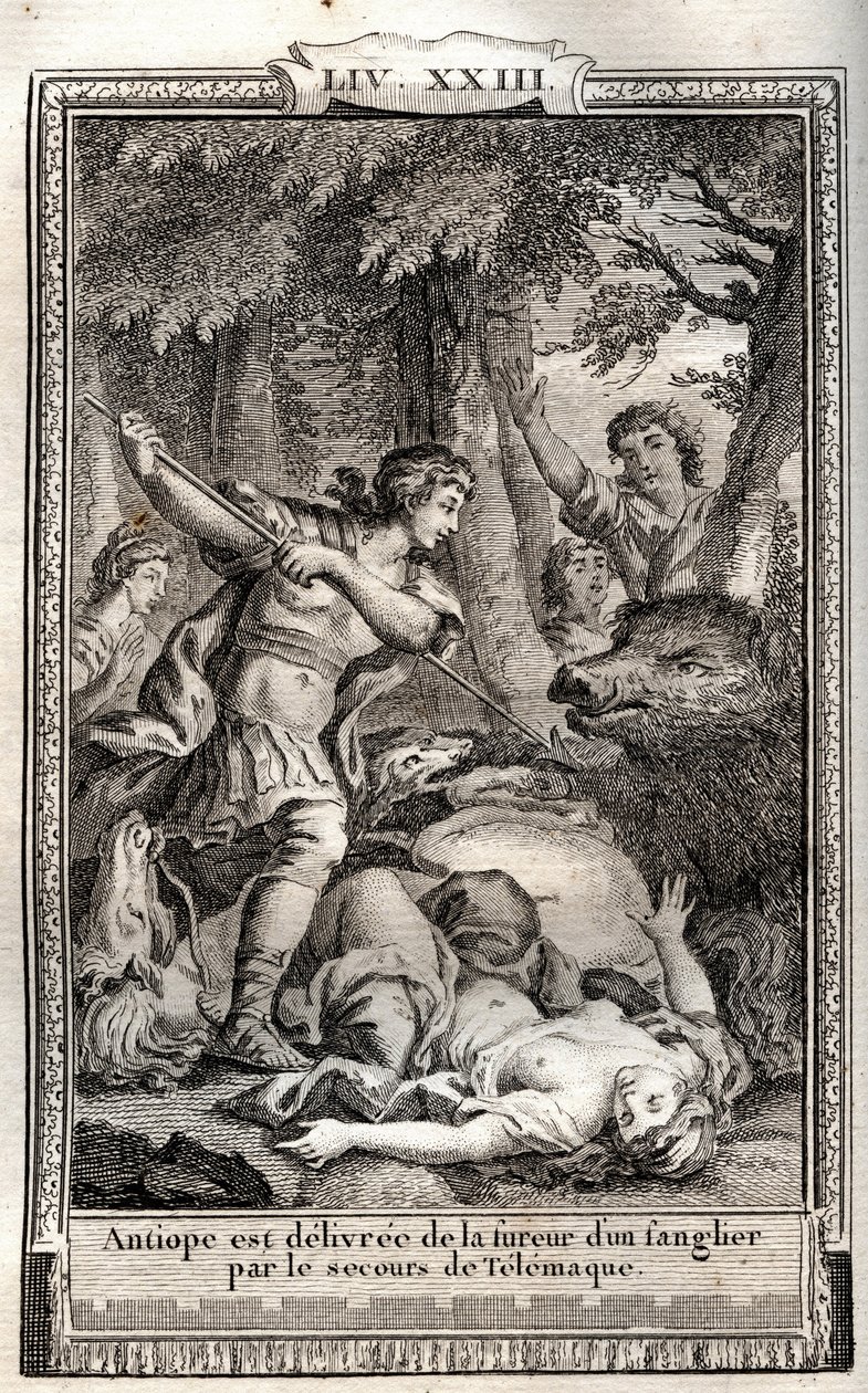 Telemaque, bir yaban domuzu Antiope
