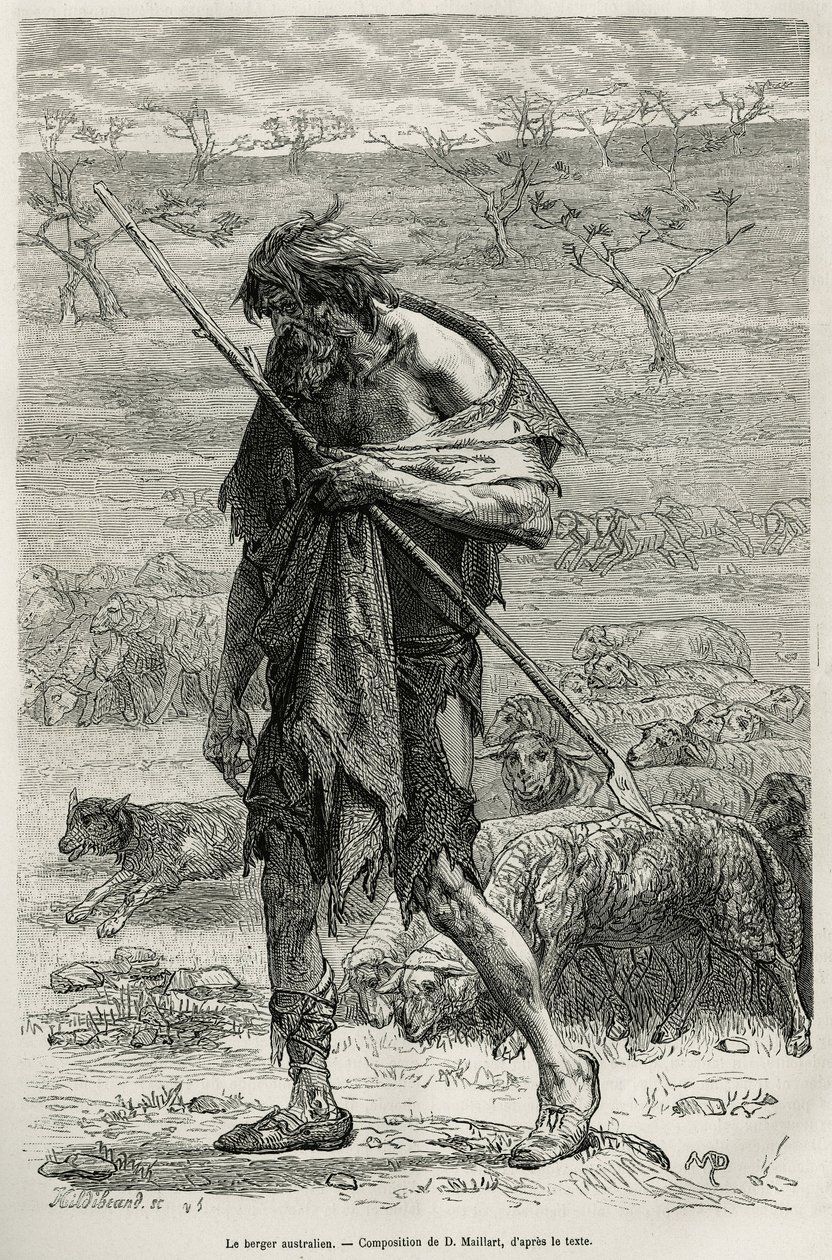 Avustralyalı çoban, D.Maillart tarafından, Avustralya