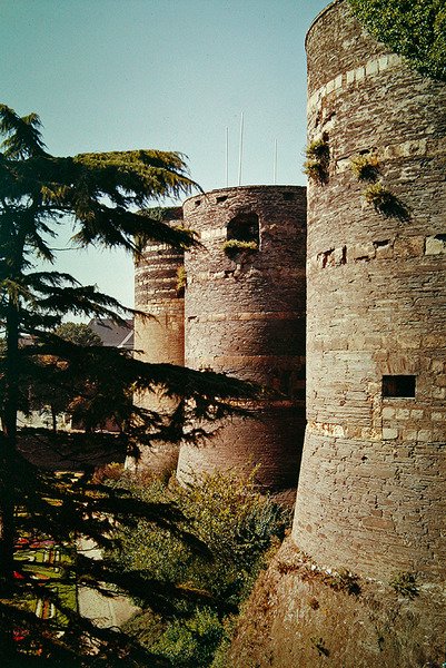 Chateau dAngers, 1238