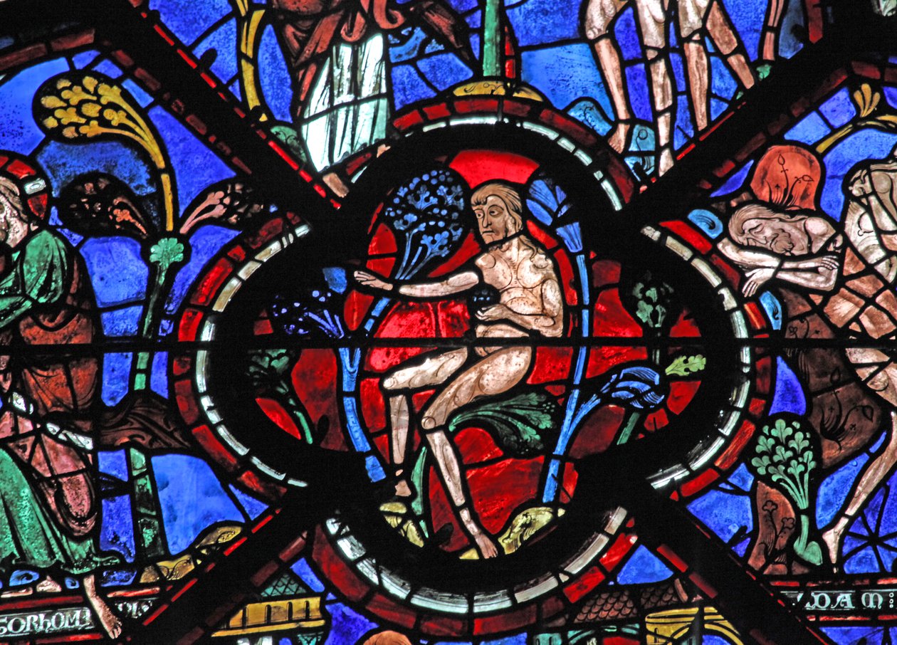 İyi Samiriyeli penceresi: Adem in the Garden of Eden (w44) by French School