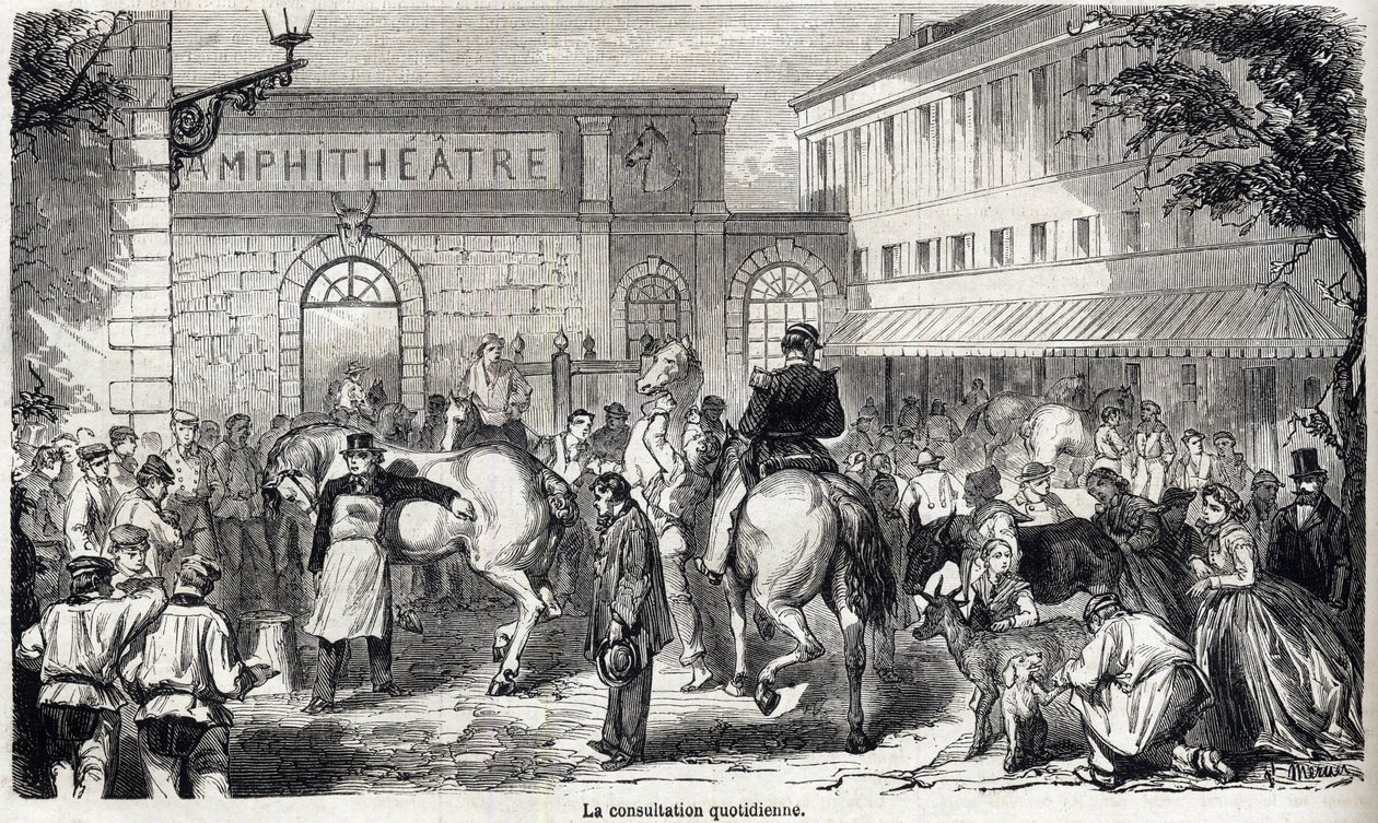 Alfort Ulusal Veteriner Okulu - Les grandes écoles de France - 1866 yılında Maison Alfort Veterinerlik okulu - Günlük danışma - 1866 tarihli “Le monde şanlı” gravür by French School