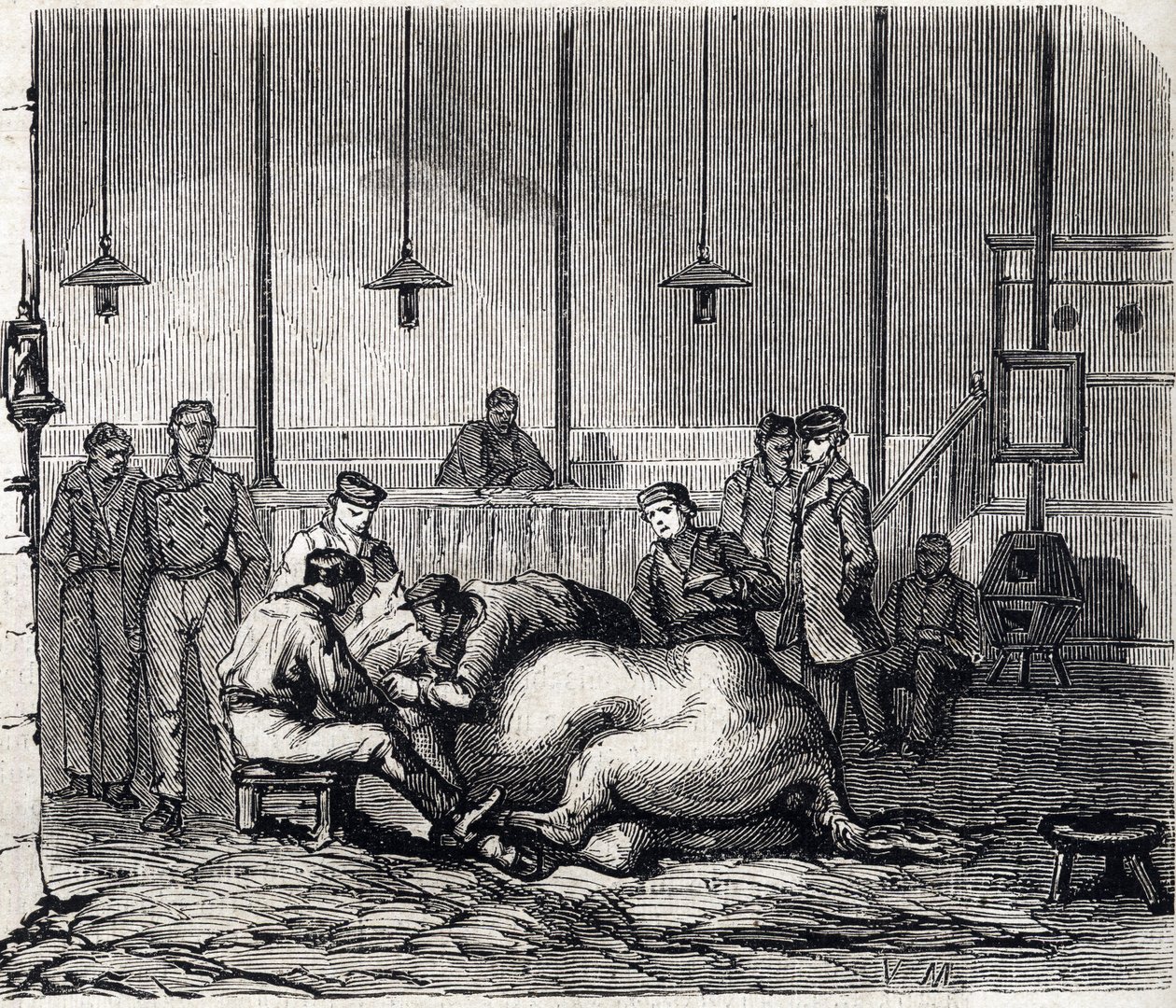 Alfort Ulusal Veteriner Okulu - Les grandes écoles de France - 1866 yılında Maison Alfort Veterinerlik okulu - Diseksiyon odası - 1866 tarihli “Le monde şanlı” gravür by French School