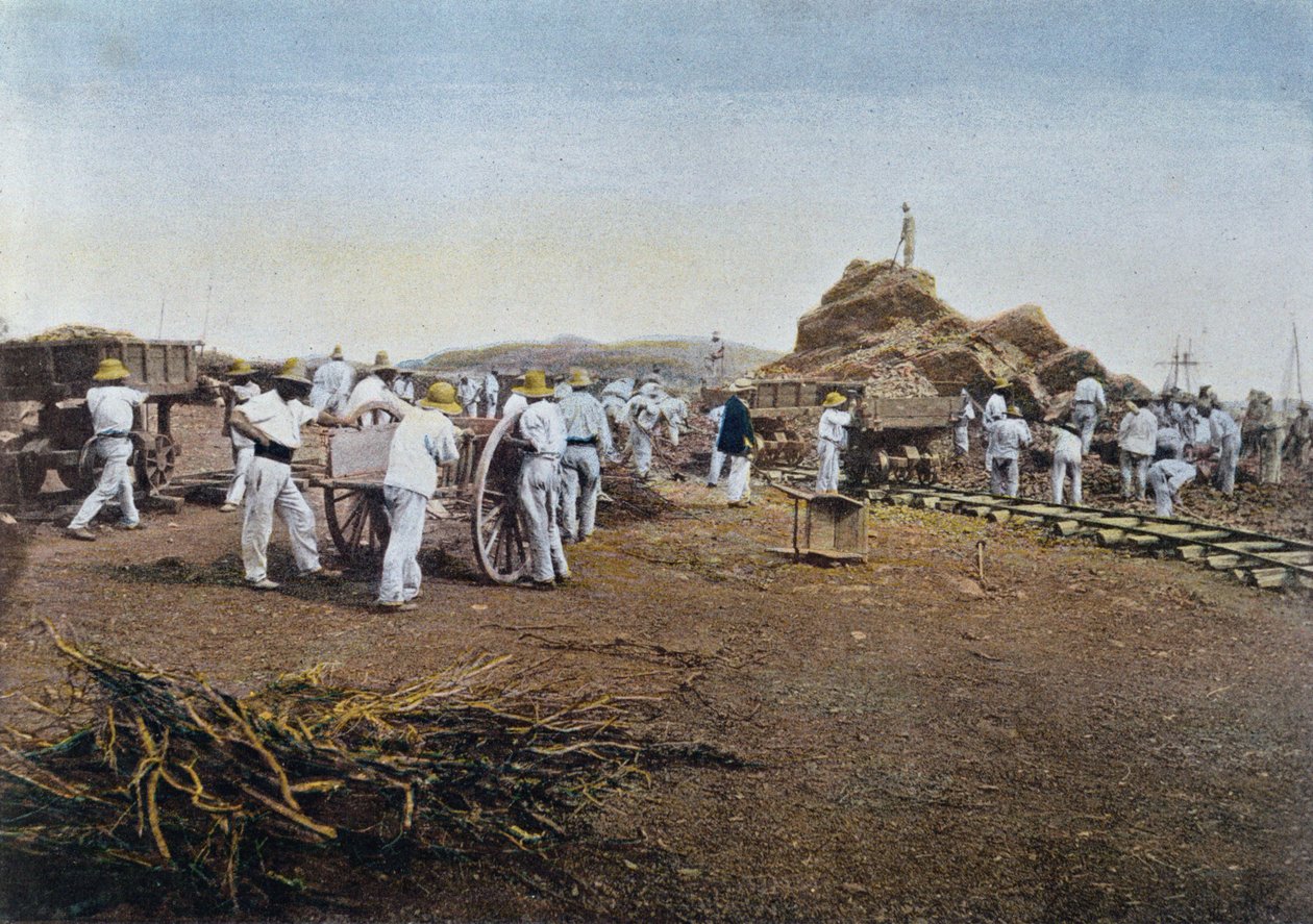 Gillot tarafından kazınmış, Yeni Kaledonya