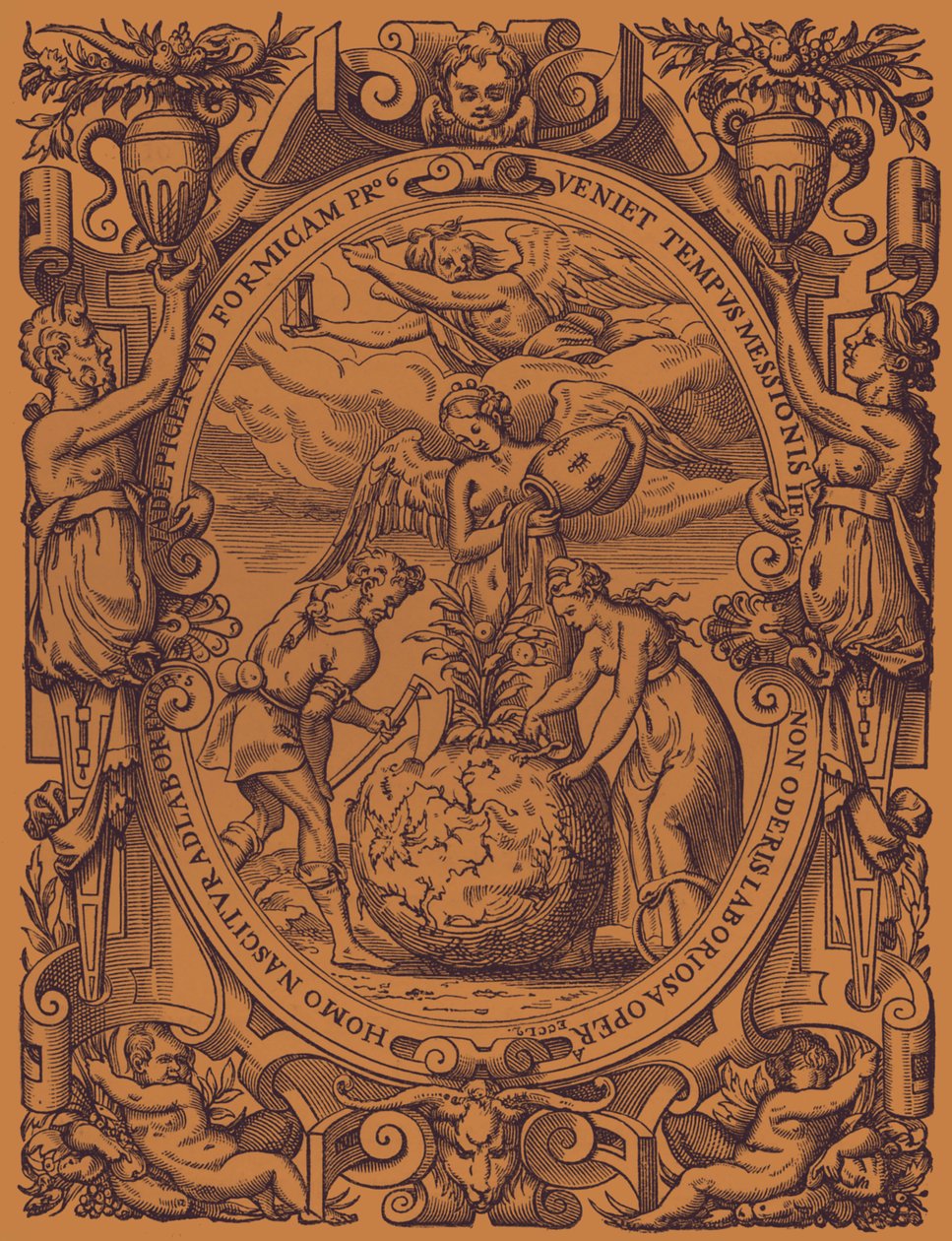 "Sebze Krallığı" by French School
