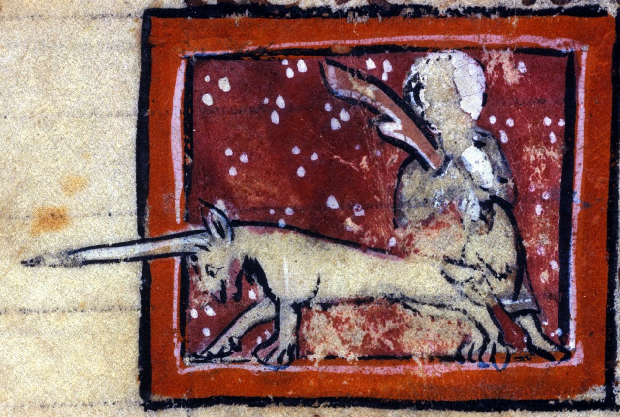 Bakire ve Tek Boynuzlu At (Unicorn) - 14. yüzyılın Fransız en iyi kitabı. Milano, Biblioteca Trivulziana. by French School